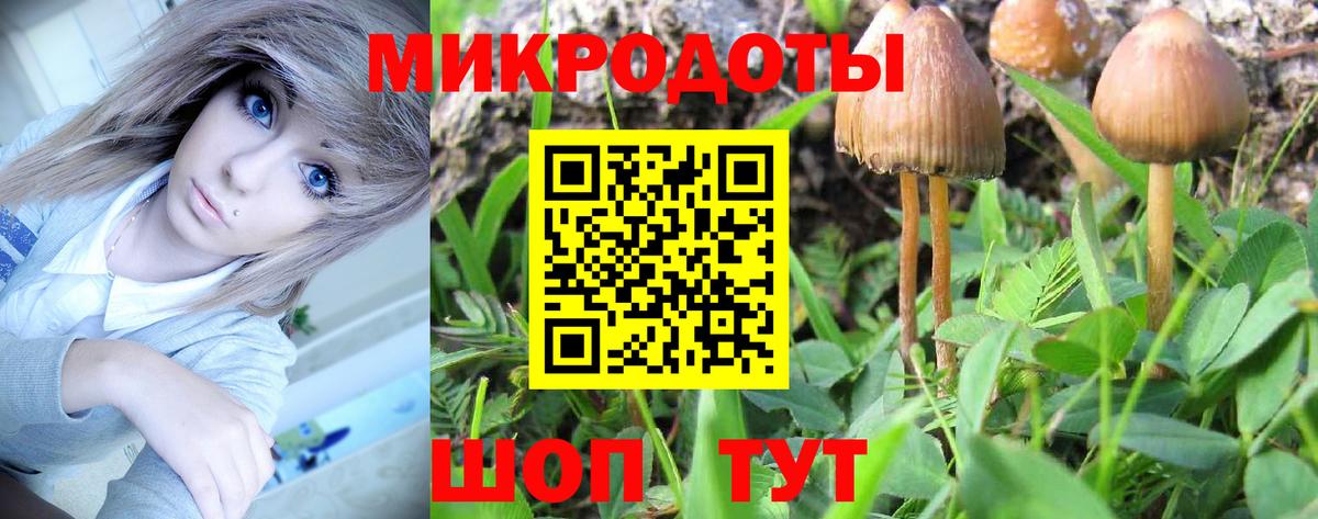 Псилоцибиновые грибы MAGIC MUSHROOMS Серов